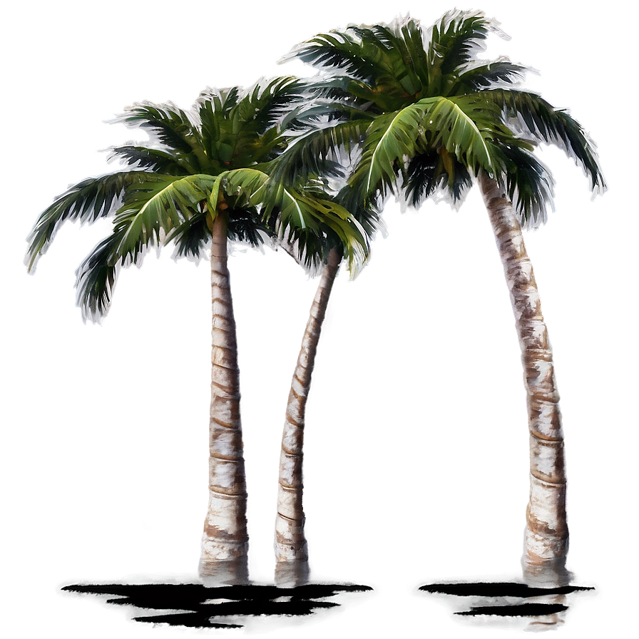 Palm Trees Reflection Png Jlk