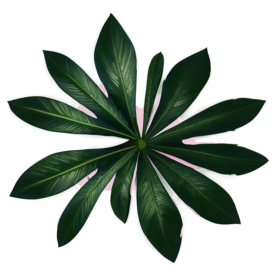 Palm Tropical Leaf Png 06122024