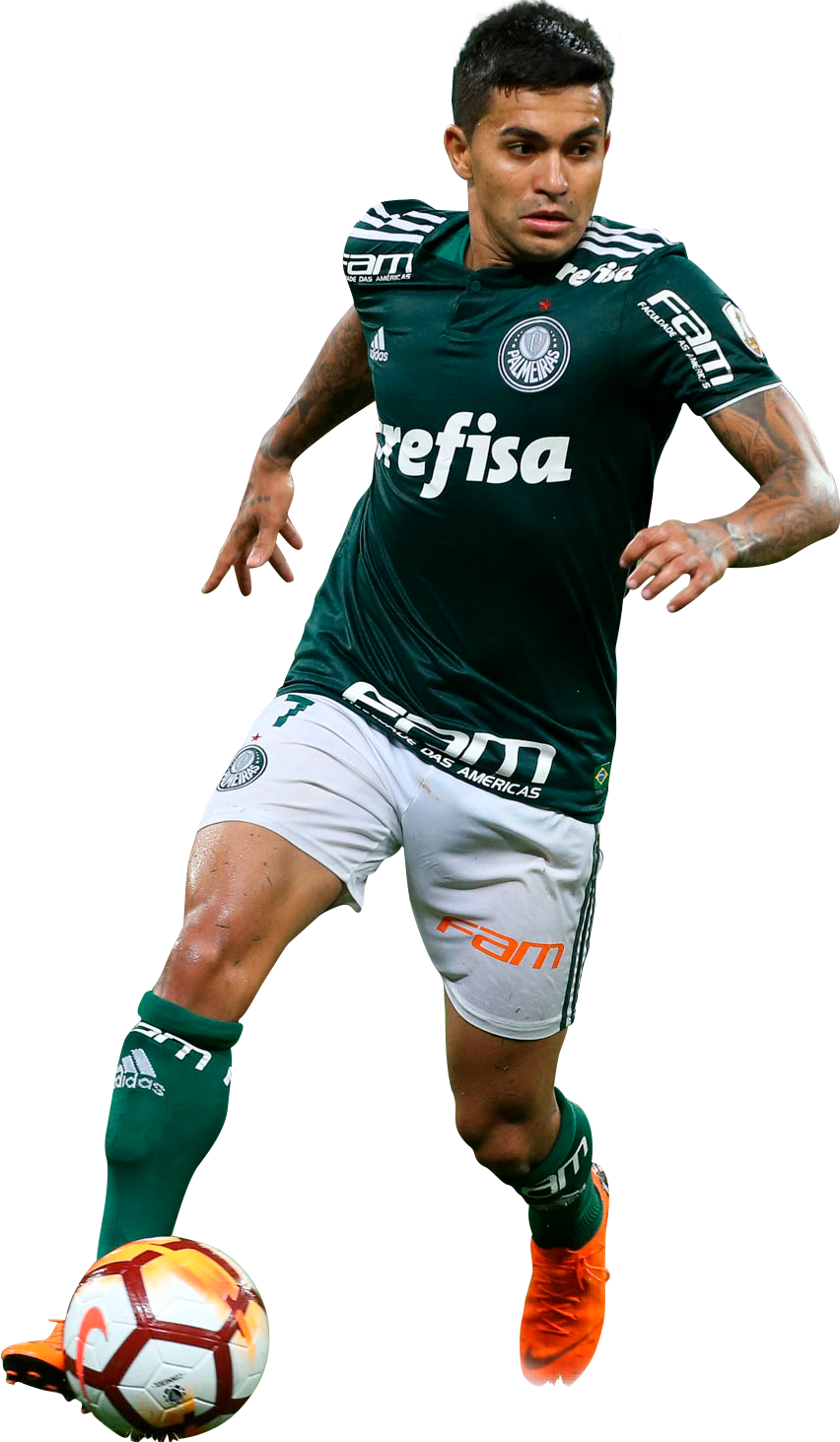 Palmeiras Player In Action