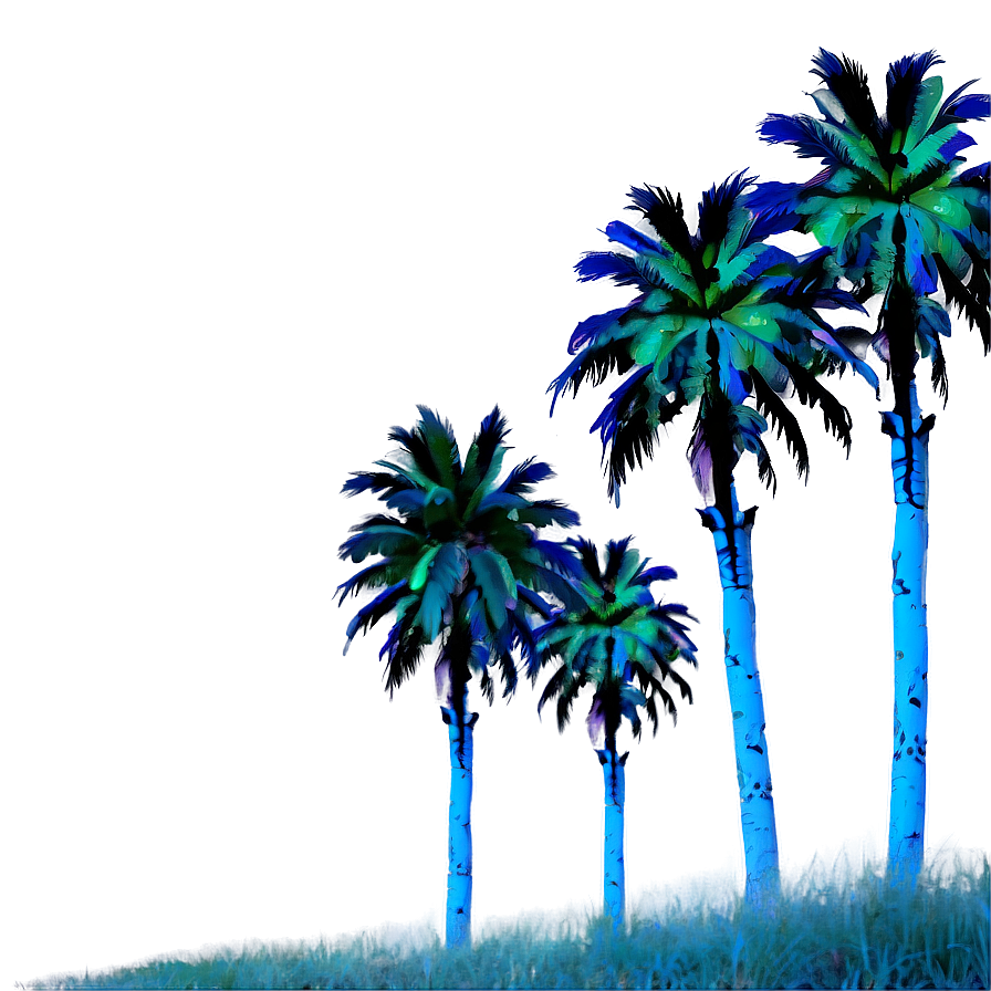 Palms At Dawn Png Nkw