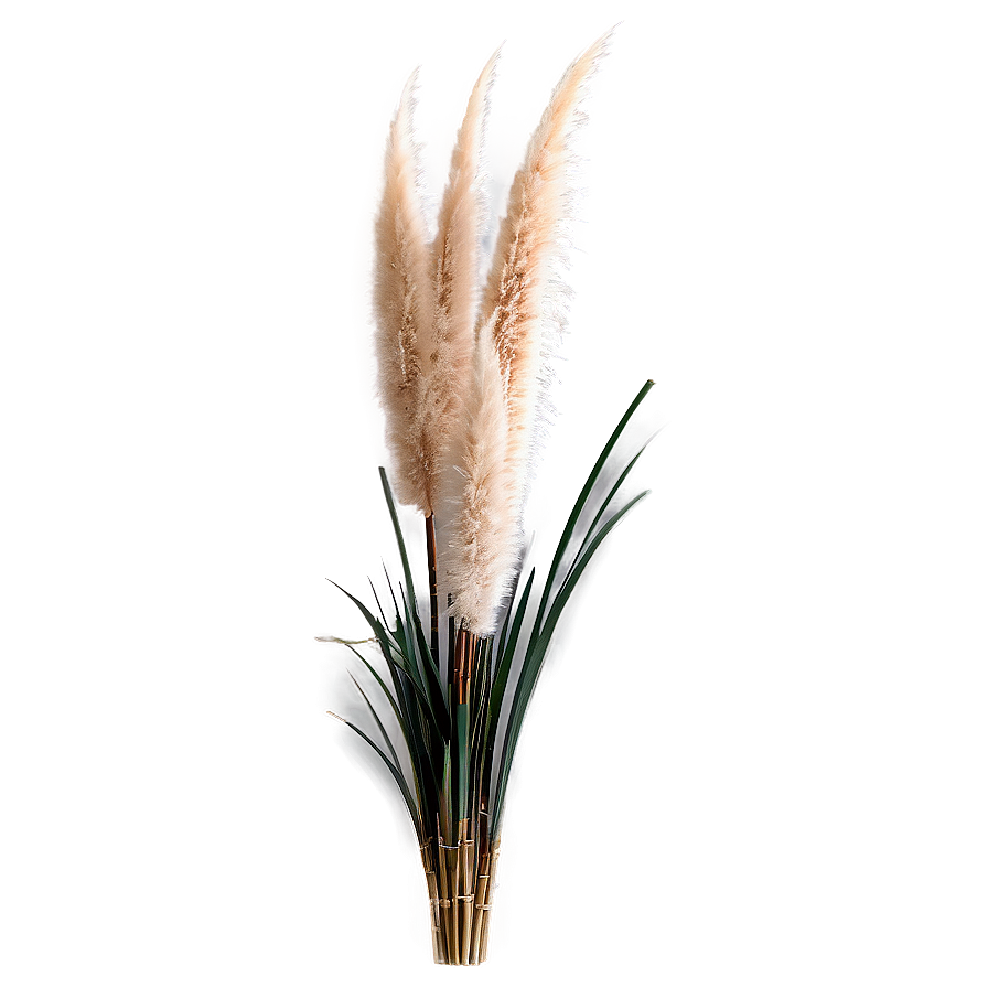 Pampas Grass Arrangement Png 3