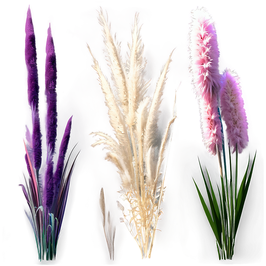 Pampas Grass Bouquet Png Ifr46