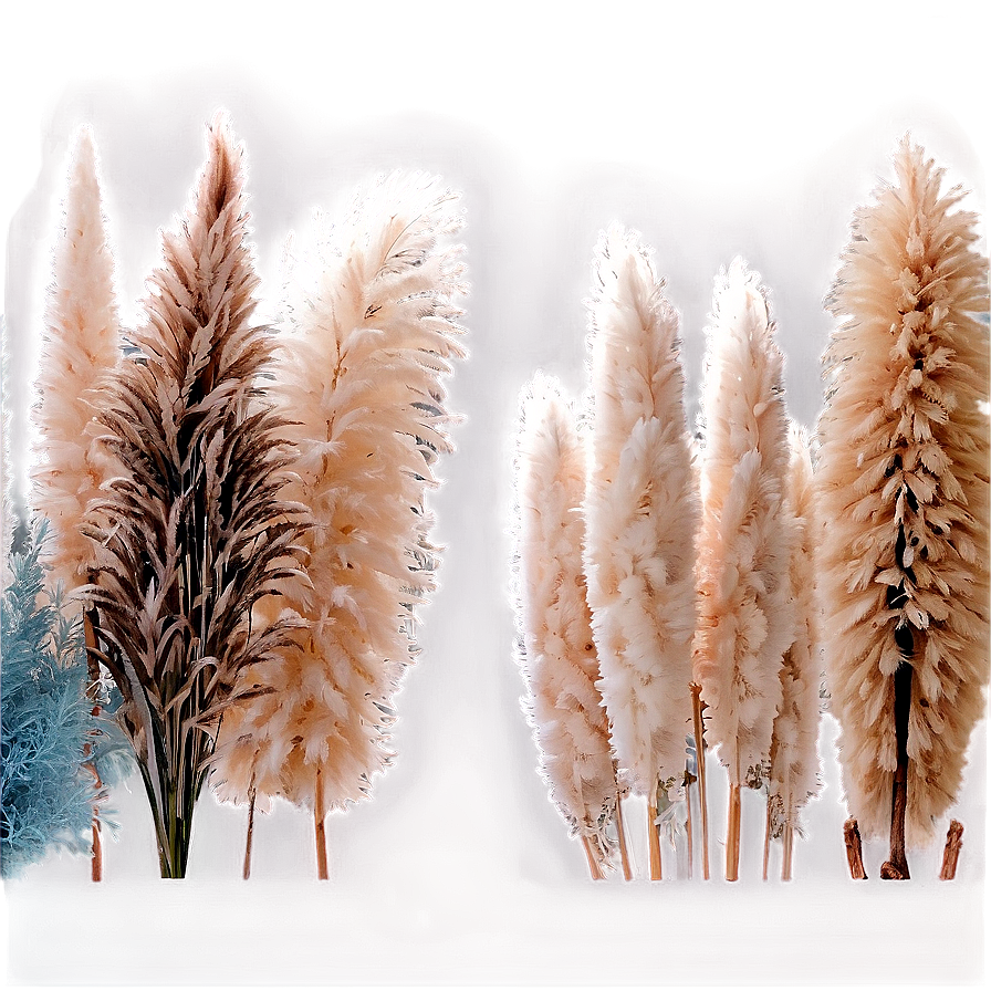 Pampas Grass Decor Idea Png 11