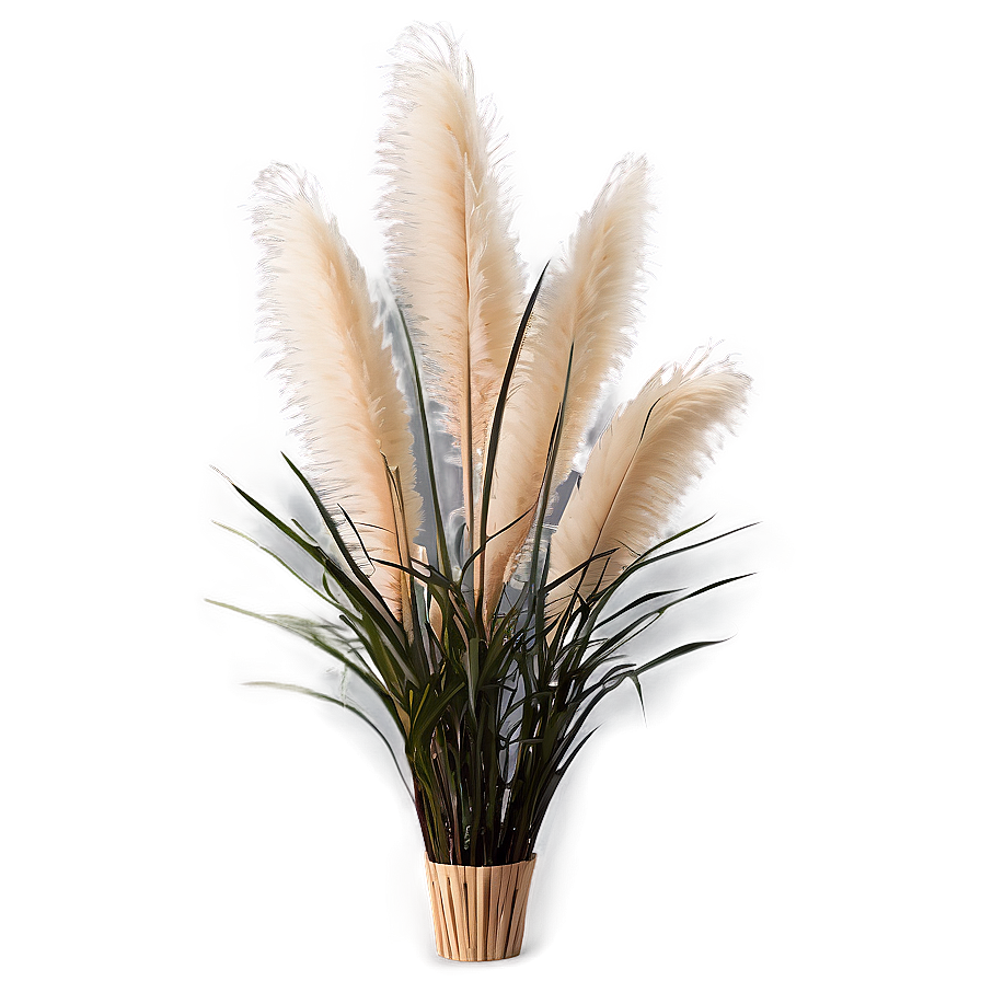 Pampas Grass Decoration Png Uer29