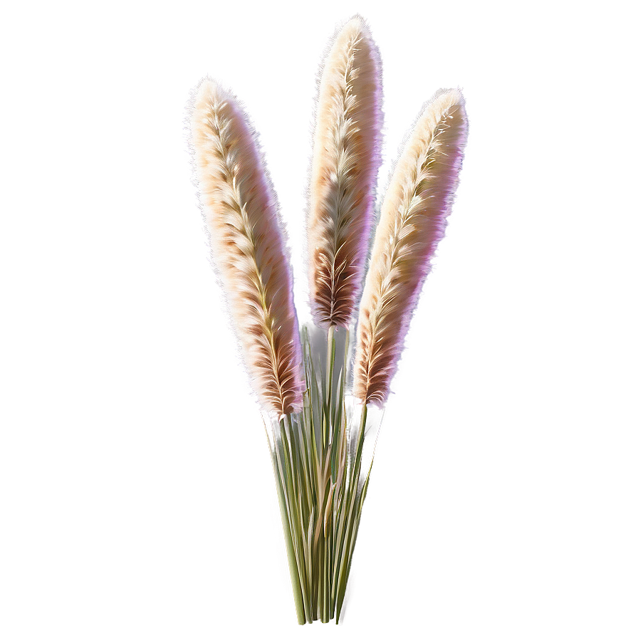 Pampas Grass Sketch Png 72