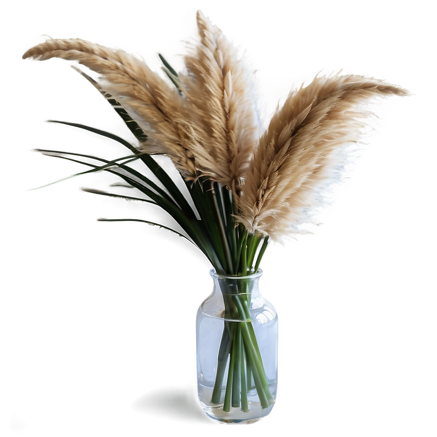 Pampas In Vase Png 4