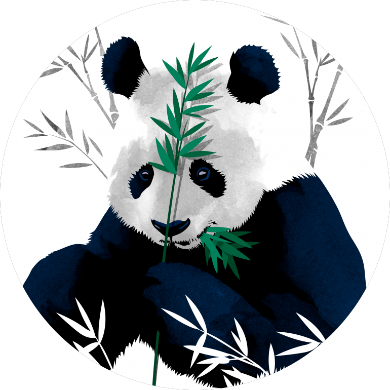 Panda_ Eating_ Bamboo_ Vector_ Art