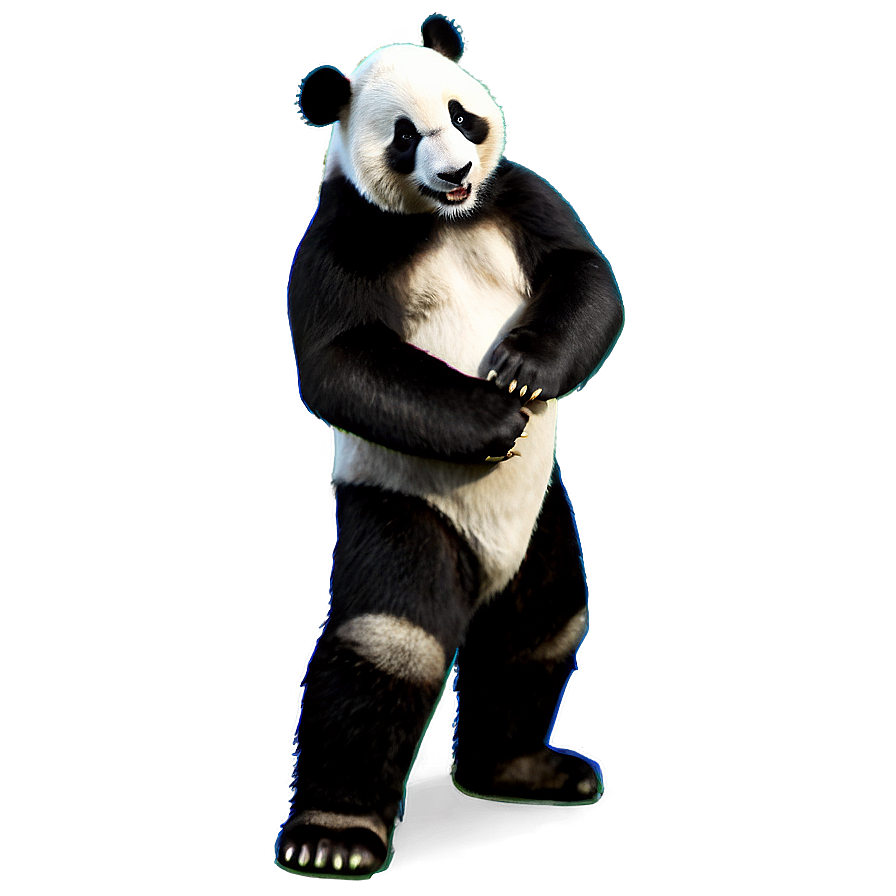 Panda School Mascot Png 21