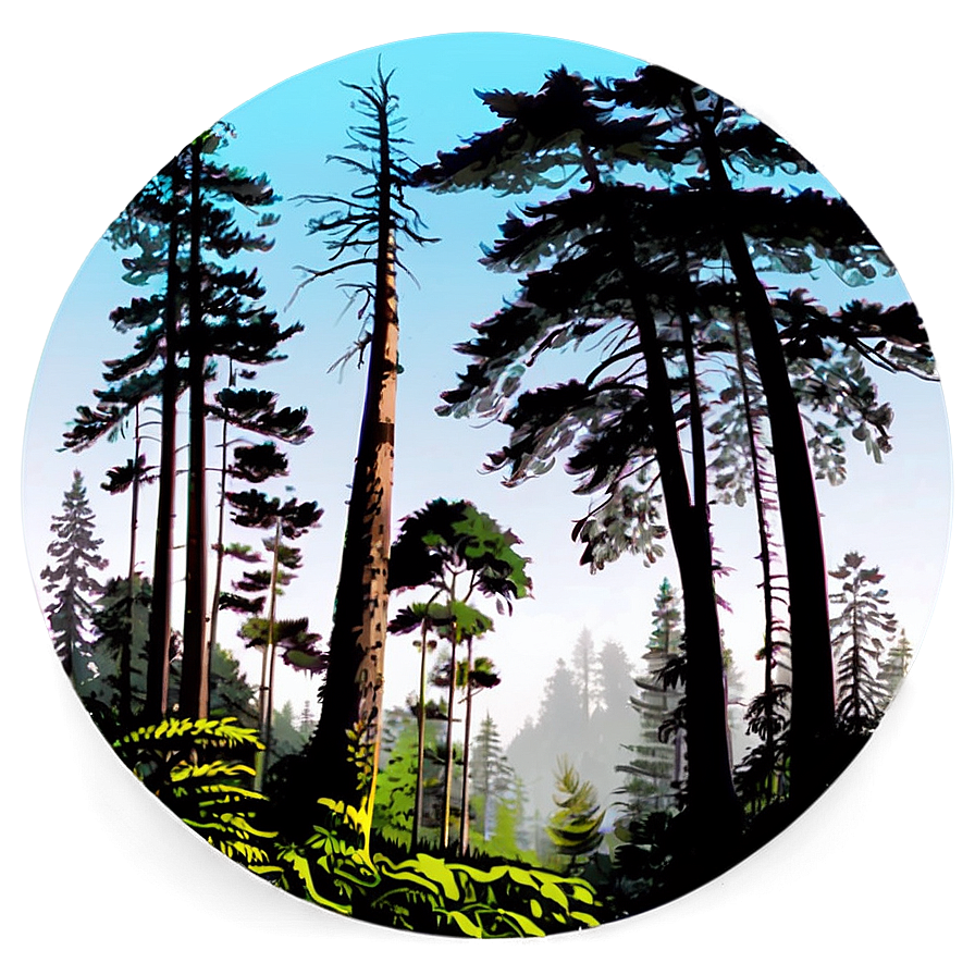 Panoramic Forest Silhouette Png Xty46