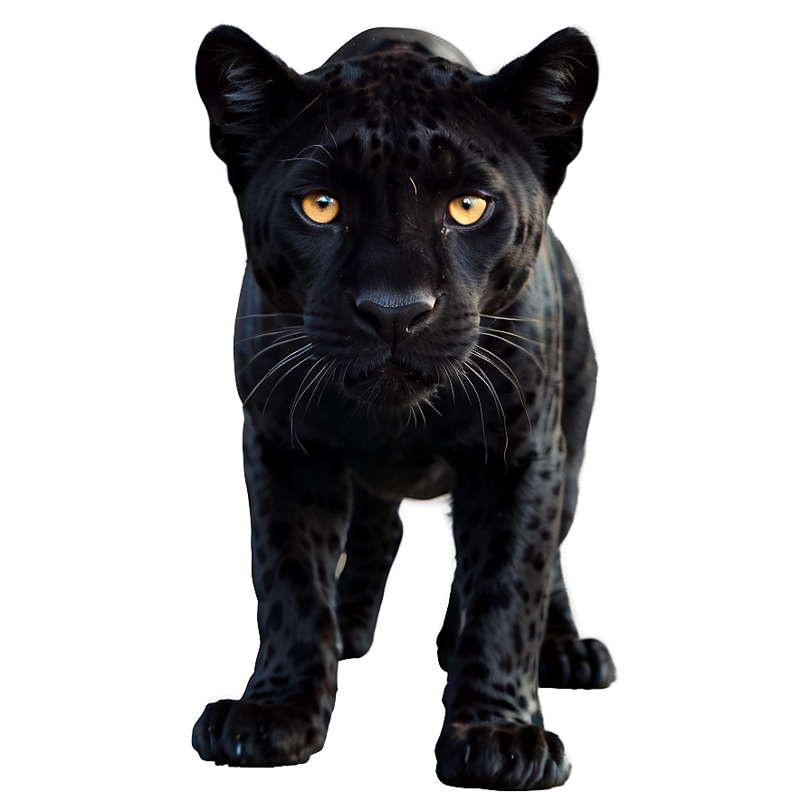 Panther In Shadows Png Frk14