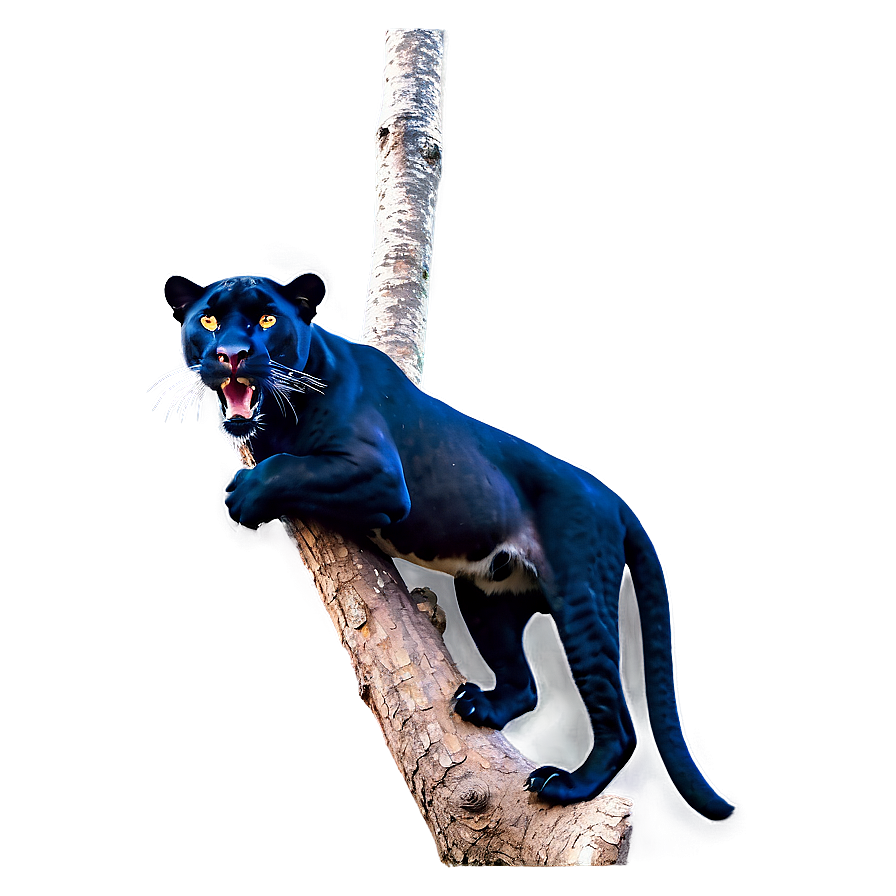 Panther On Branch Png 13