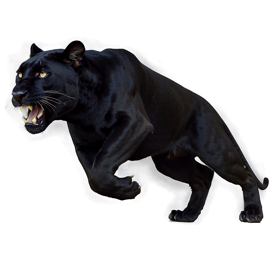 Panther Running Png Rmg