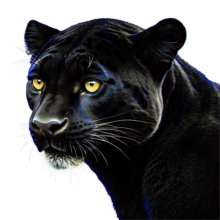 Panthers Spirit Animal Png 06202024