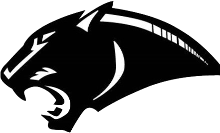 Panthers Team Logo