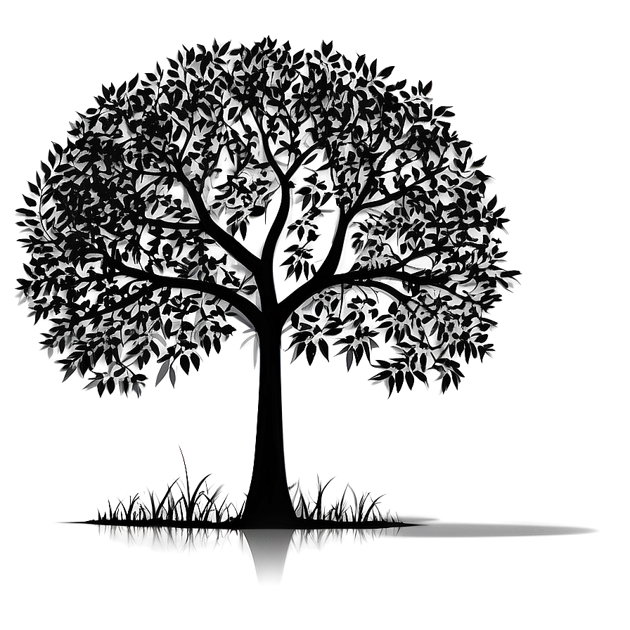Park Tree Silhouette Png 70