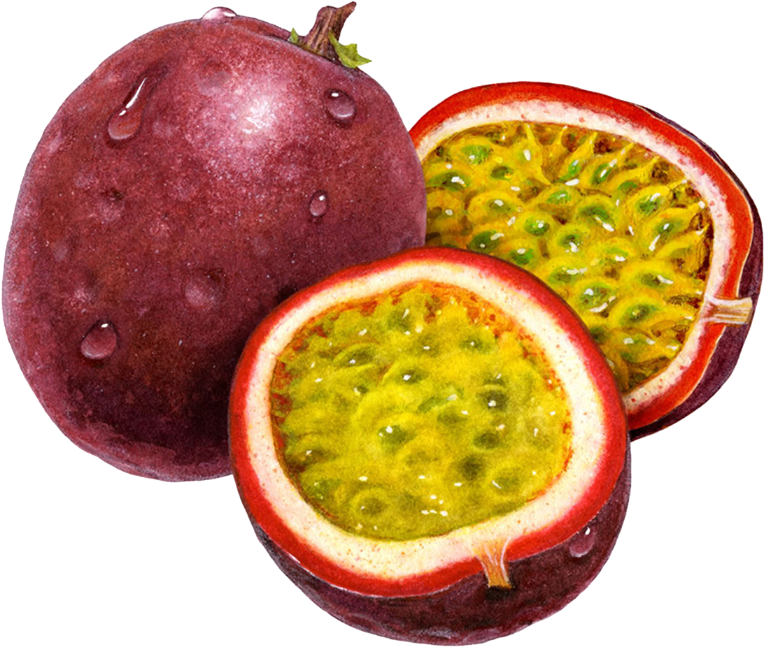 Passion Fruit Freshand Sliced.png