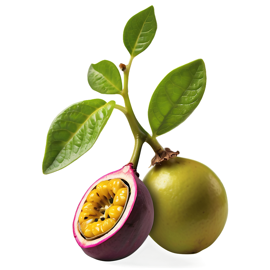 Passion Fruit Seedling Plant Png Pmw