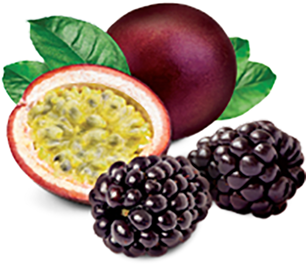 Passion Fruitand Blackberries Illustration