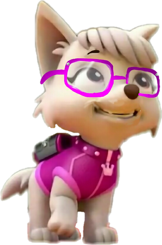 Paw Patrol Pink Glasses Pup