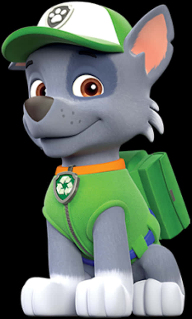 Paw Patrol Rocky Character Portrait