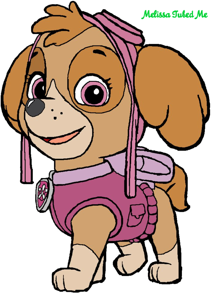 Paw Patrol Skye Character Illustration