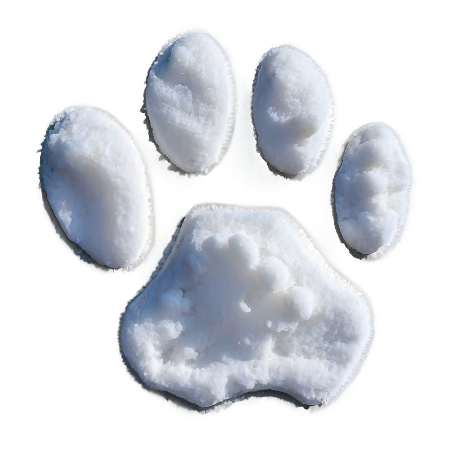 Paw Print In Snow Png 05042024