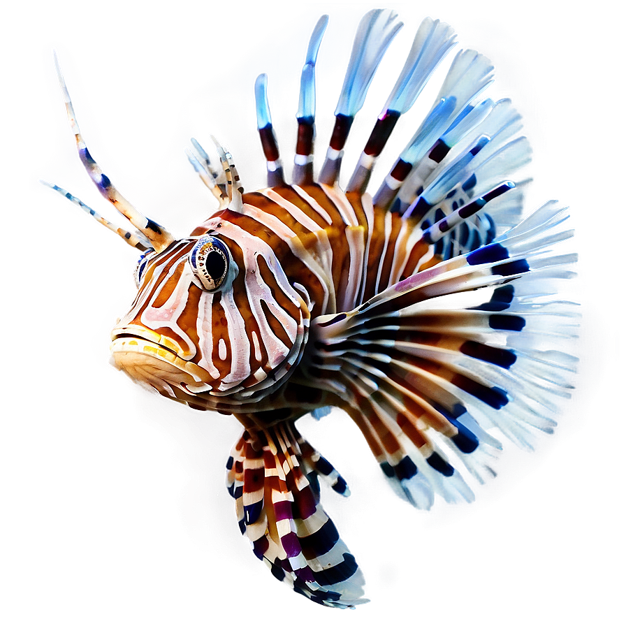 Peaceful Lionfish Png Jkx75