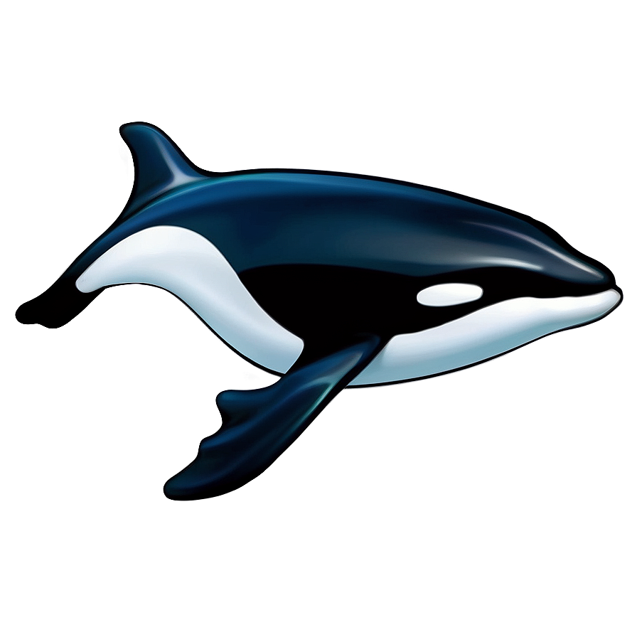 Peaceful Orca Png 28