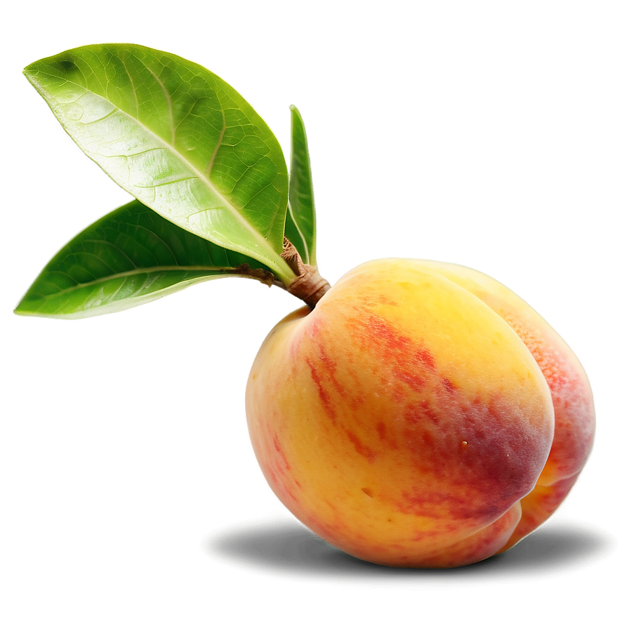 Peach Kernel Seed Png 86
