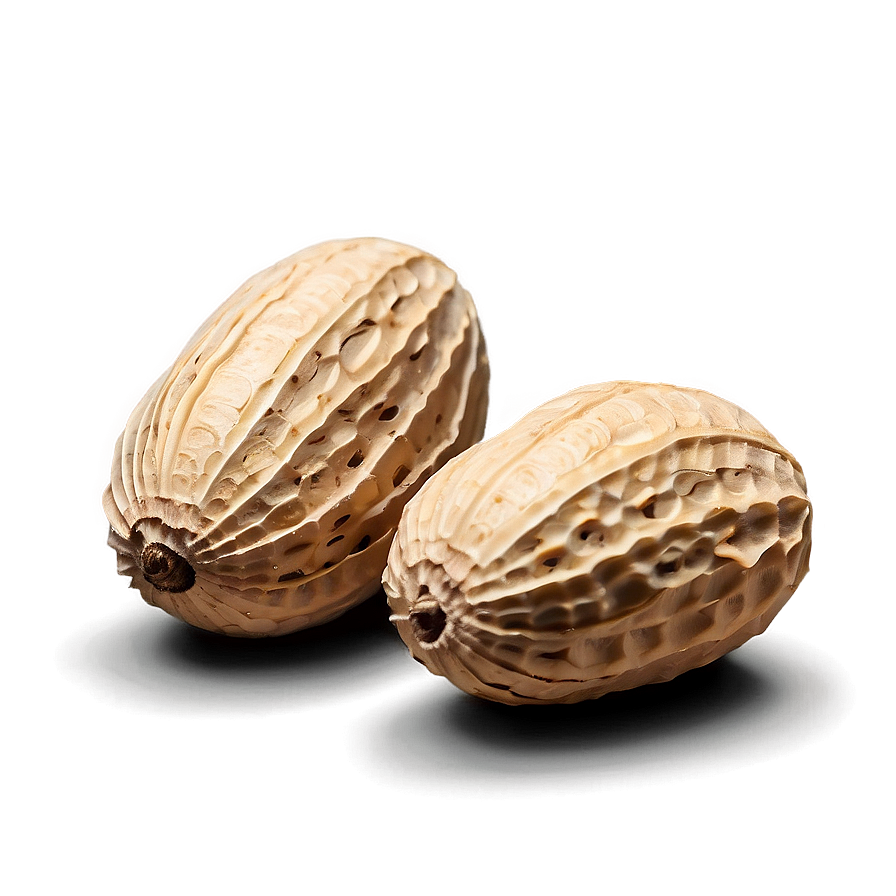 Peanut In Shell Closeup Png 46