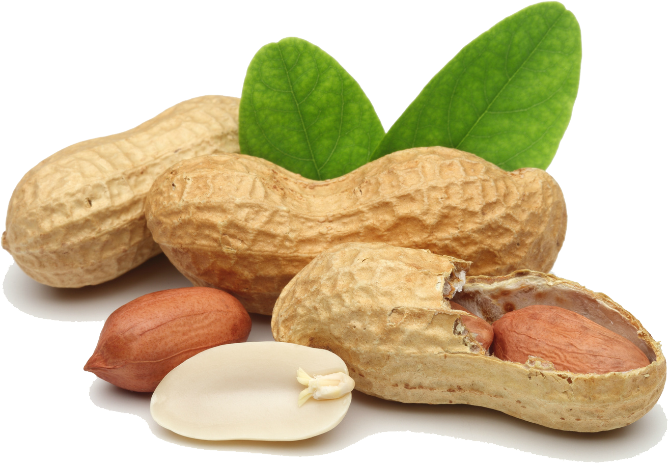 Peanuts_with_ Leaves