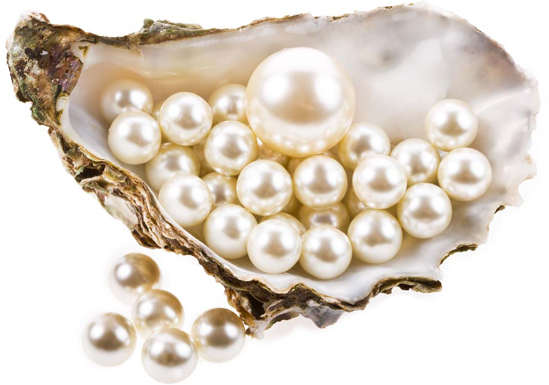 Pearlsin Oyster Shell