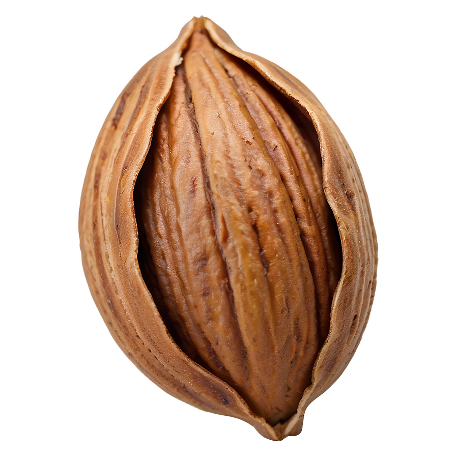 Pecan Nut Png Jyn43