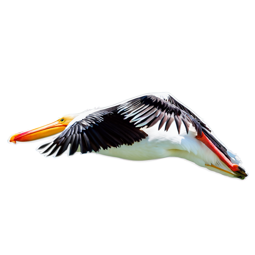 Pelican In Flight Png Gwj