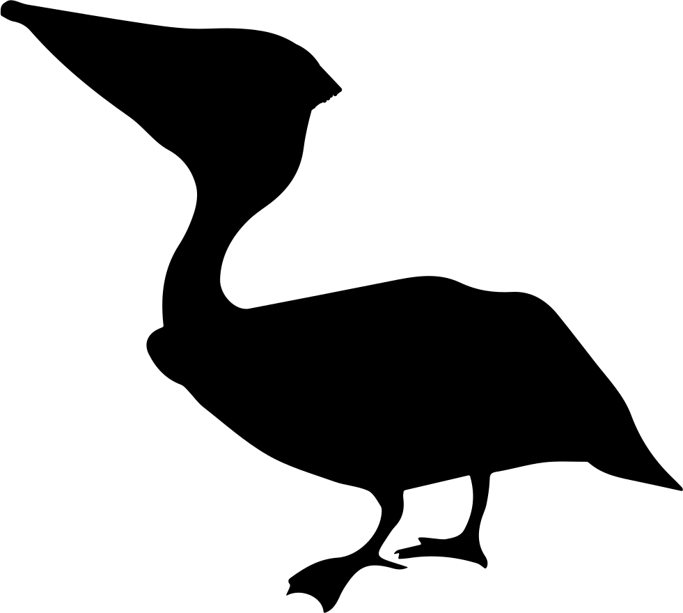 Pelican Silhouette Graphic