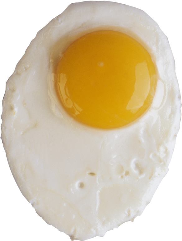 Perfectly Fried Egg Top View.png