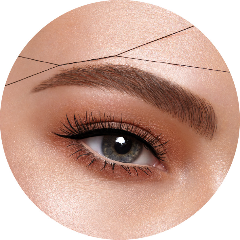 Perfectly Groomed Eyebrowand Eye Makeup