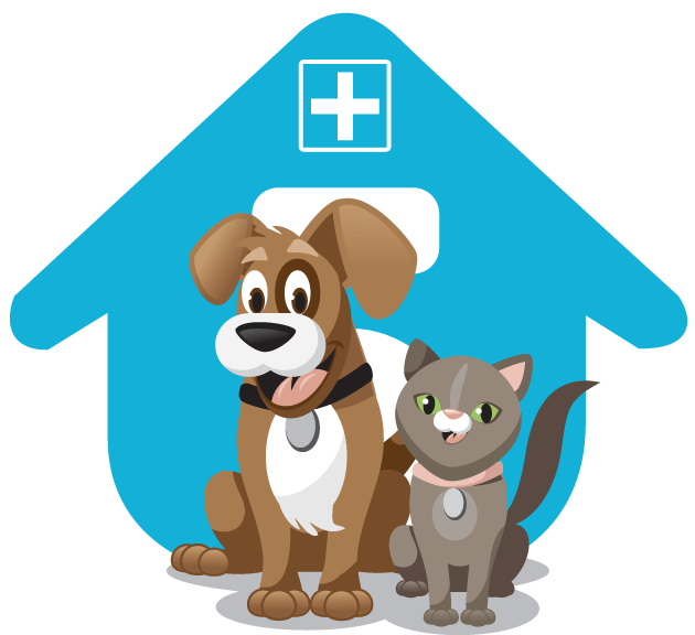 Pet Clinic Cartoon Dogand Cat