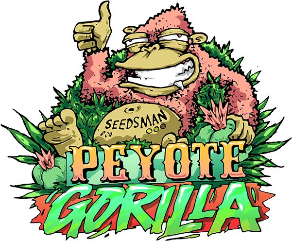 Peyote Gorilla Cartoon