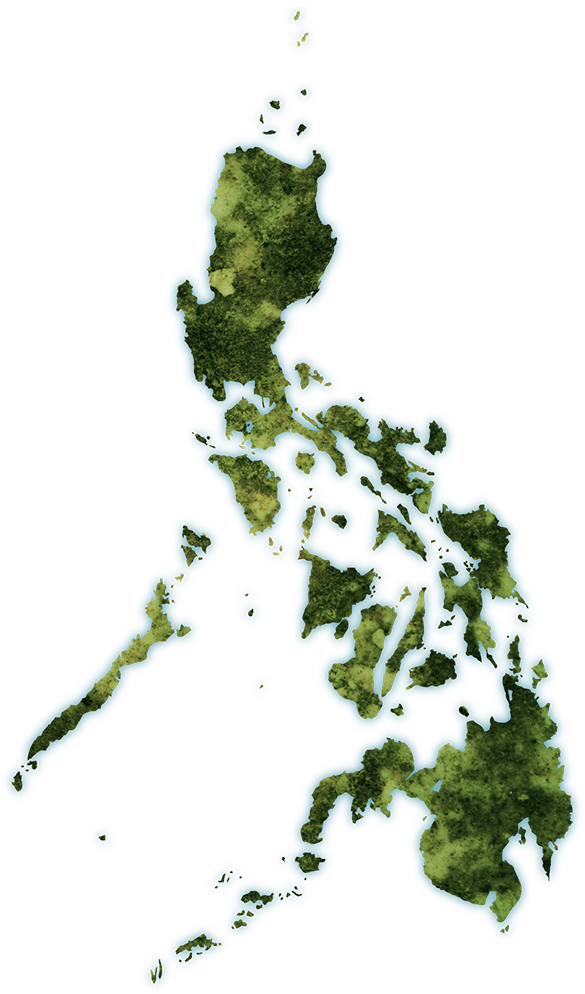 Philippines Topographic Map
