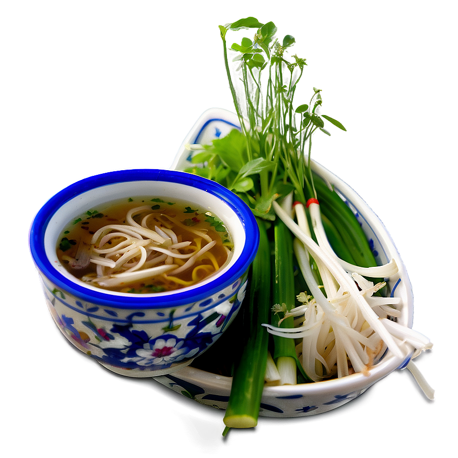 Pho With Bean Sprouts Png 06202024