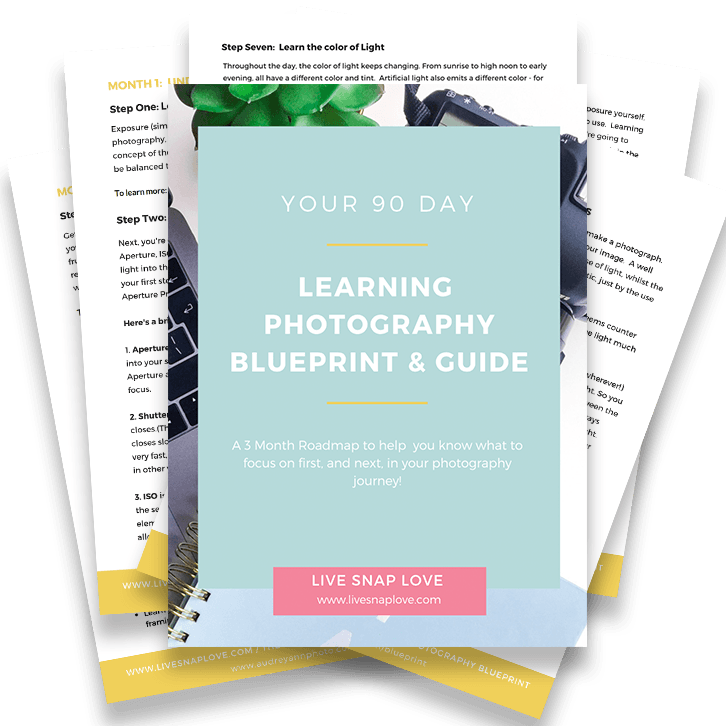 Photography Learning Blueprint Guide