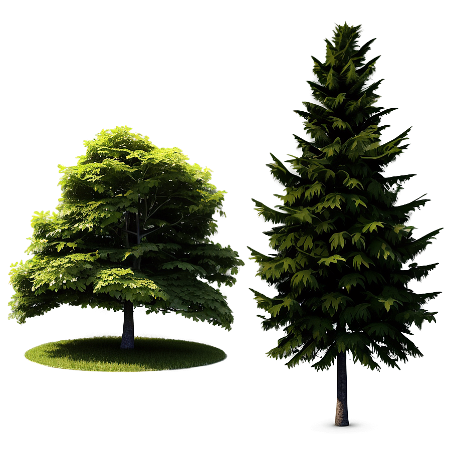 Photorealistic Tree Elevation Png Rwx