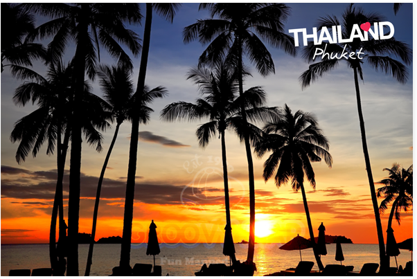 Phuket_ Sunset_ Palm_ Silhouettes