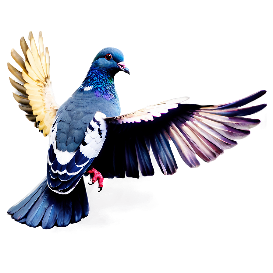 Pigeon With Letter Png Sbw38