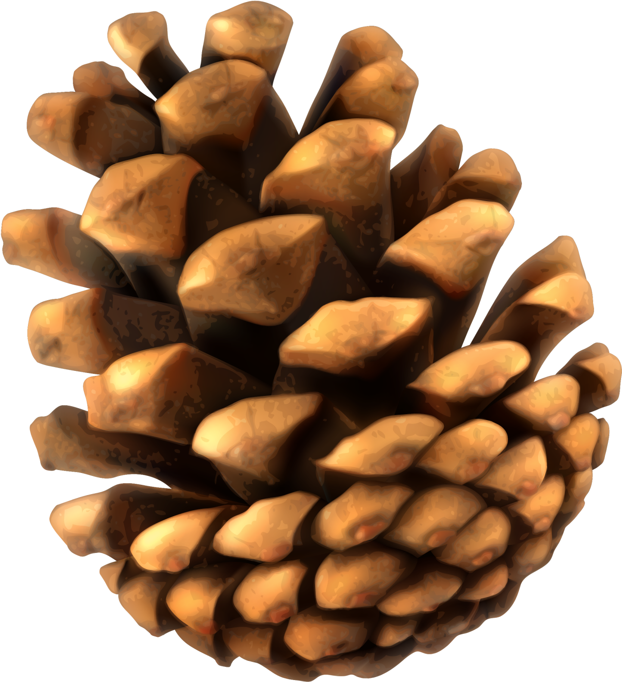 Pine Cone_ Closeup_ Texture