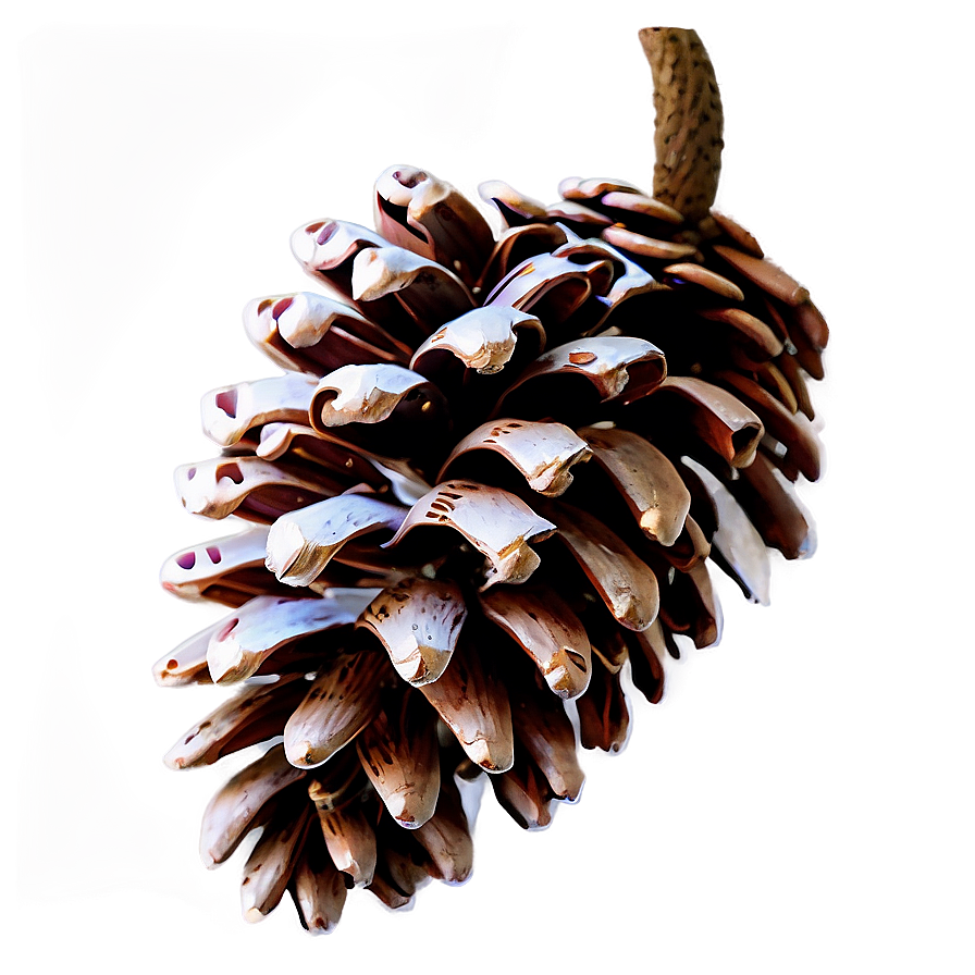 Pine Cone Garland Png 06202024