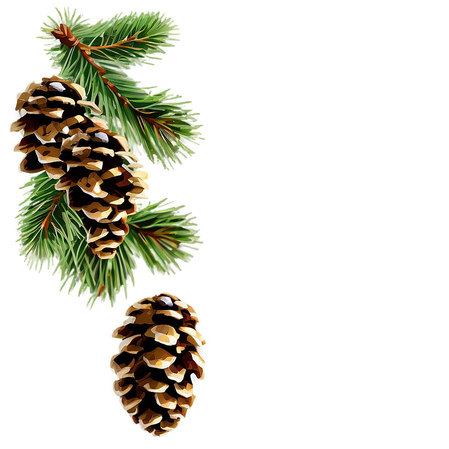 Pine Cone Png 06202024