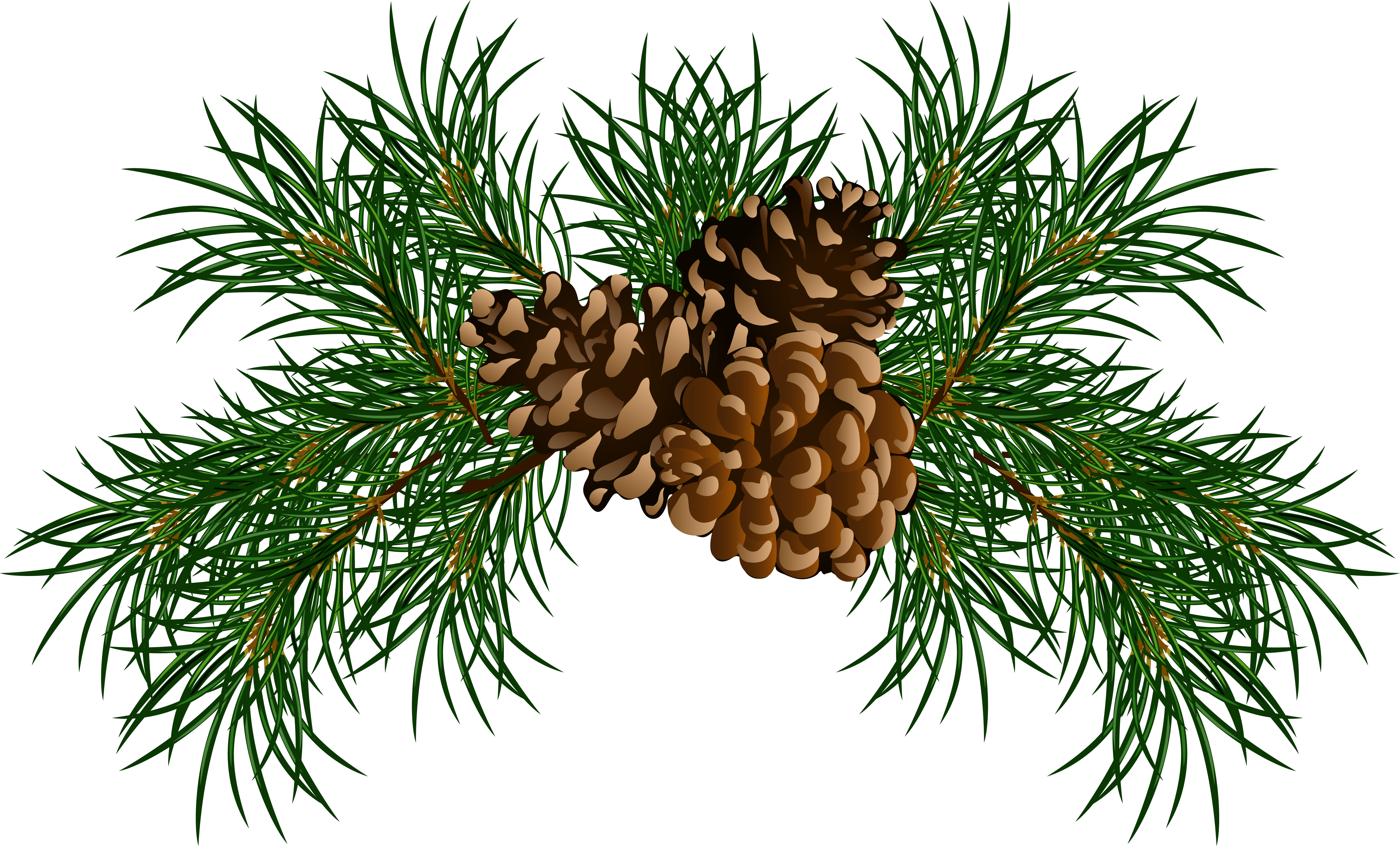 Pine Garland With Cones