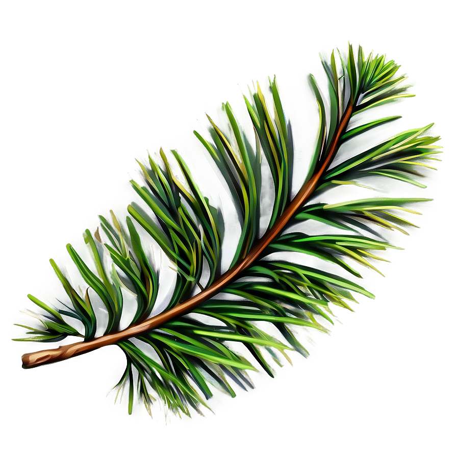 Pine Leaves Png Jyd4